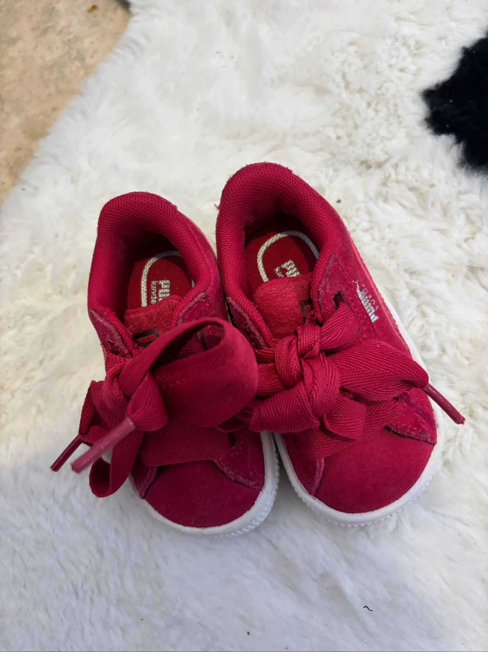 Puma bebé niña – photo 2
